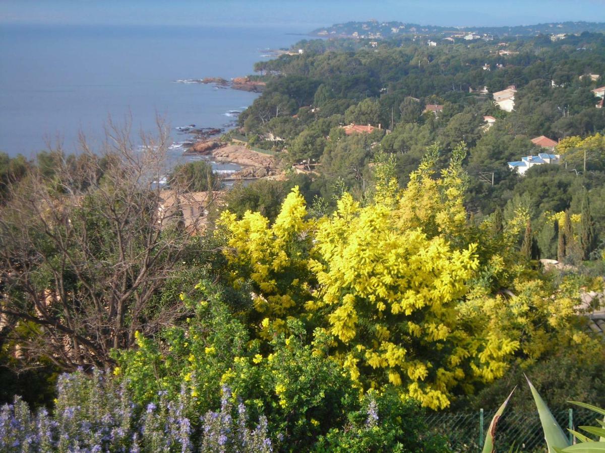 Duplex, Vue Panoramique Sur La Mediterranee, Piscine, Garage Saint-Raphaël Kültér fotó